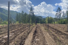 LAVORI_GIUGNo-2023-32