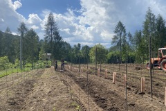 LAVORI_GIUGNo-2023-33