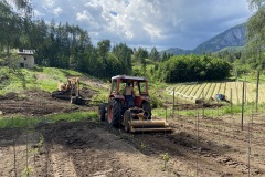 LAVORI_GIUGNo-2023-34