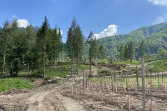 LAVORI_GIUGNo-2023-37