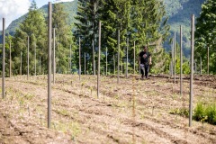 LAVORI_GIUGNo-2023-41