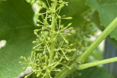 luglio_2023-10