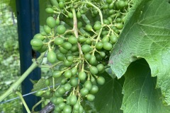 luglio_2023-11