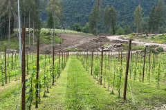 luglio_2023-3