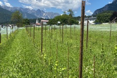 luglio_2023-6