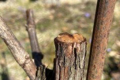 MARZO_2023-10