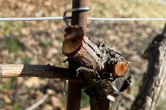 MARZO_2023-11