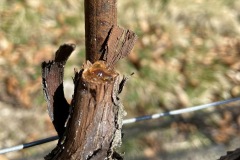 MARZO_2023-12