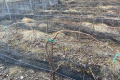 MARZO_2023-2