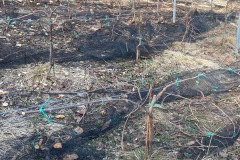 MARZO_2023-3