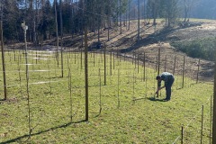 MARZO_2023-4