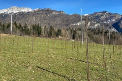 MARZO_2023-5