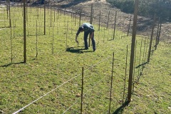 MARZO_2023-6