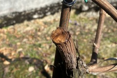 MARZO_2023-7