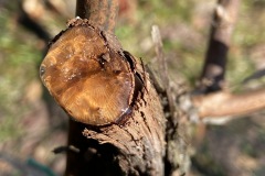 MARZO_2023-8