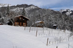 VIGNETI_21_01_23-1