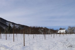 VIGNETI_21_01_23-11