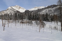 VIGNETI_21_01_23-13