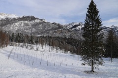 VIGNETI_21_01_23-15