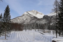 VIGNETI_21_01_23-17
