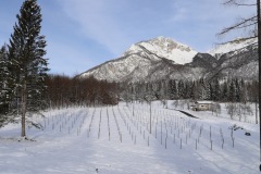 VIGNETI_21_01_23-18