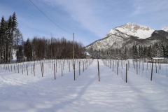 VIGNETI_21_01_23-20