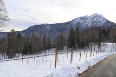 VIGNETI_21_01_23-21