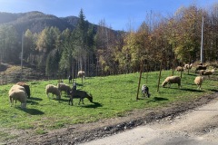 NOVEMBRE_2022_BLOG-12
