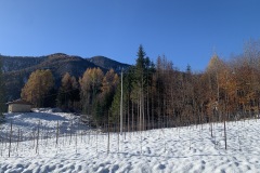 NOVEMBRE_2022_BLOG-20