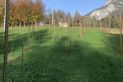 NOVEMBRE_2022_BLOG-6
