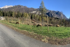 NOVEMBRE_2022_BLOG-8