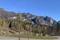 NOVEMBRE_2022_BLOG-9