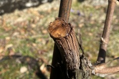 PIANTO_SLARIS_2023-2