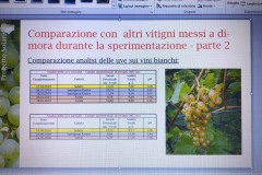 PRESENTAZIONE-PROGETT_SOLARIS-1