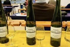 PRESENTAZIONE-PROGETT_SOLARIS-11