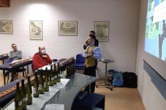 PRESENTAZIONE-PROGETT_SOLARIS-13