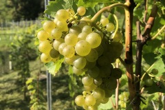 KRETOS_01_09_21-4