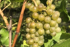 KRETOS_01_09_21-6