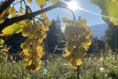 SETTEMBRE_2023-1