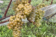 SETTEMBRE_2023-10