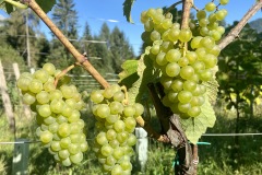 SETTEMBRE_2023-12