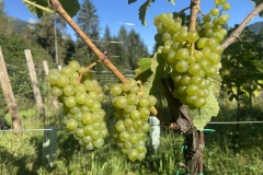 SETTEMBRE_2023-13