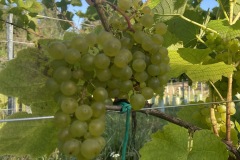 SETTEMBRE_2023-14
