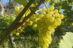 SETTEMBRE_2023-15