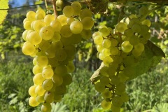 SETTEMBRE_2023-16