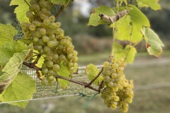 SETTEMBRE_2023-17