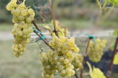 SETTEMBRE_2023-18