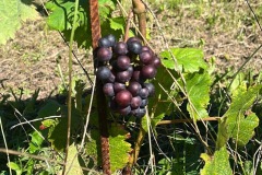 SETTEMBRE_2023-2