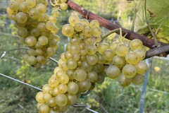 SETTEMBRE_2023-20