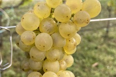 SETTEMBRE_2023-21